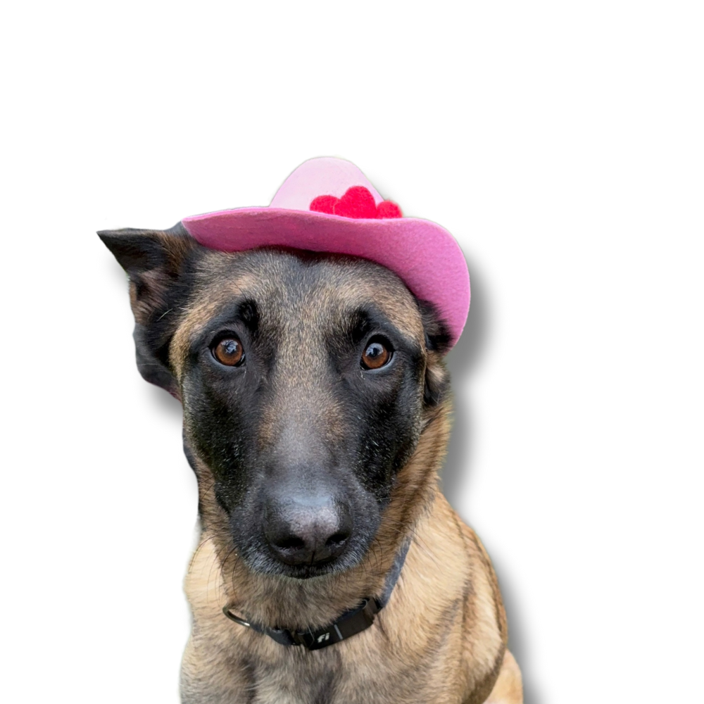 Valentine Dog Cowboy Hat | Pink with Flowers