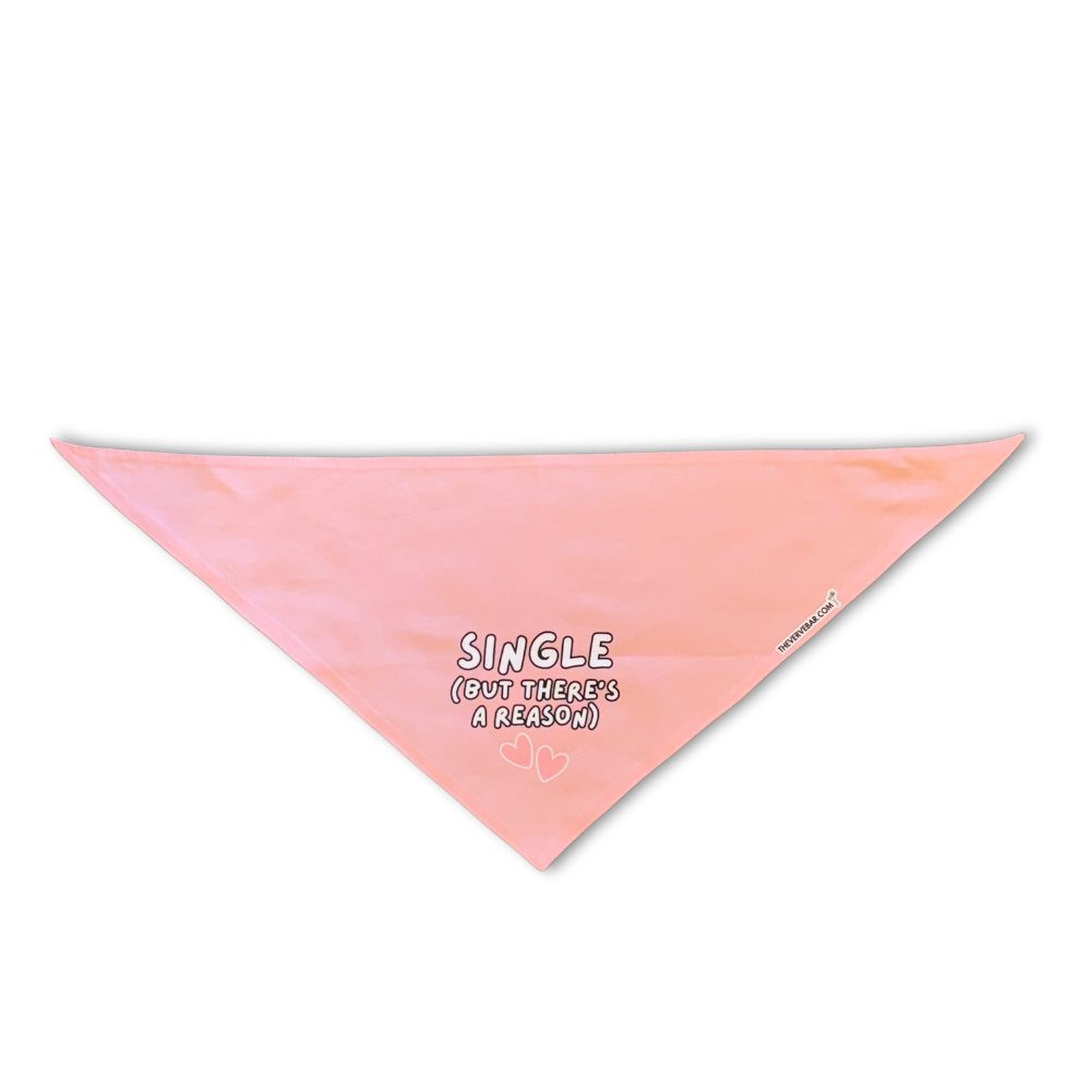 Valentine dog bandana that is light pink with words "Single but there's a reason" and two pink hearts