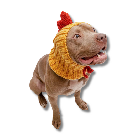 Rooster Costume for Dog | Funny Dog Snood