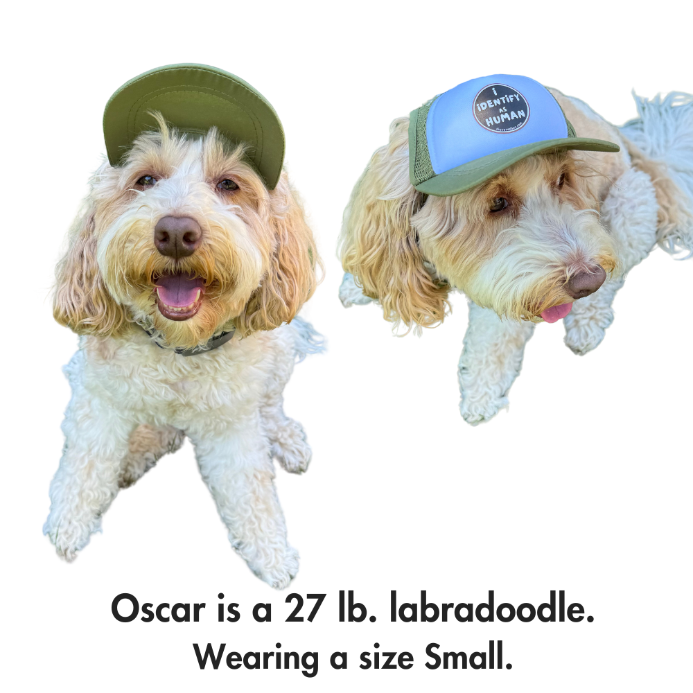 HATS WITH VISORS FOR SUMMER. KEEP SUN OUT OF DOGS EYES. OLIVE GREEN DOG TRUCKER HAT