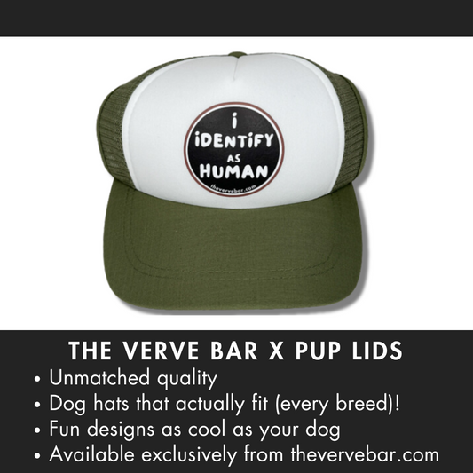 Olive green pup hat for dogs. Trucker style. Front logo says: I identify as human.