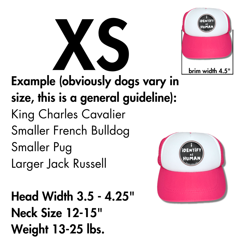 size chart description for small breed dogs for dog baseball caps