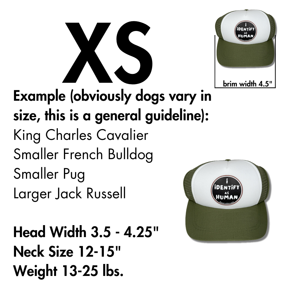 size description for baseball hats for dogs for small breeds