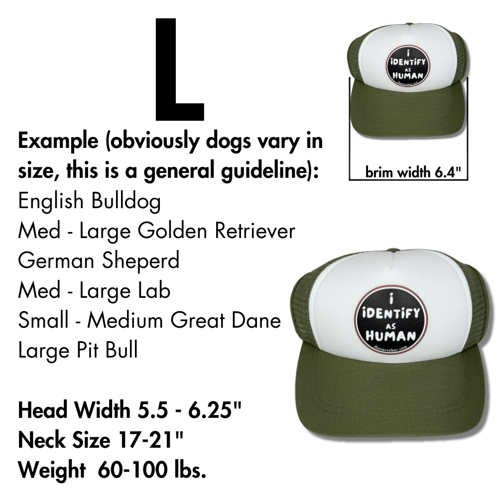 size description for baseball cap for dog for large breeds