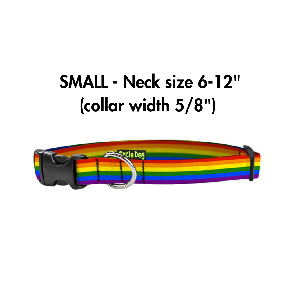 Pride rainbow dog collar shown with info on neck size that it fits (small dogs 6-12")