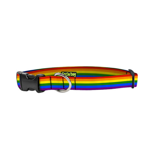 Cycle Dog rainbow Pride dog collar for small dogs.