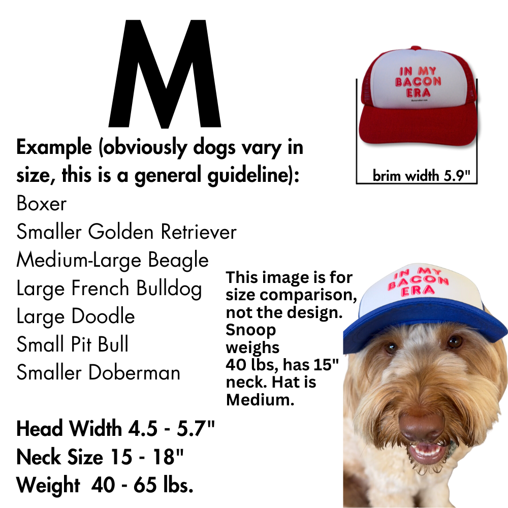 Pup Lid Dog Hat | In my Bacon Era (red on red)