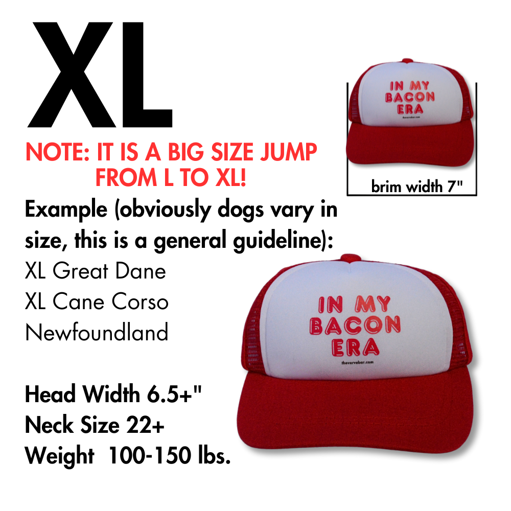 Pup Lid Dog Hat | In my Bacon Era (red on red)