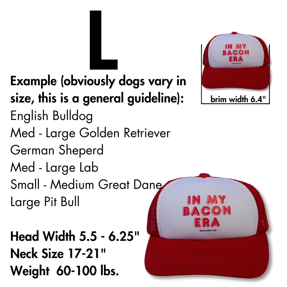 Pup Lid Dog Hat | In my Bacon Era (red on red)