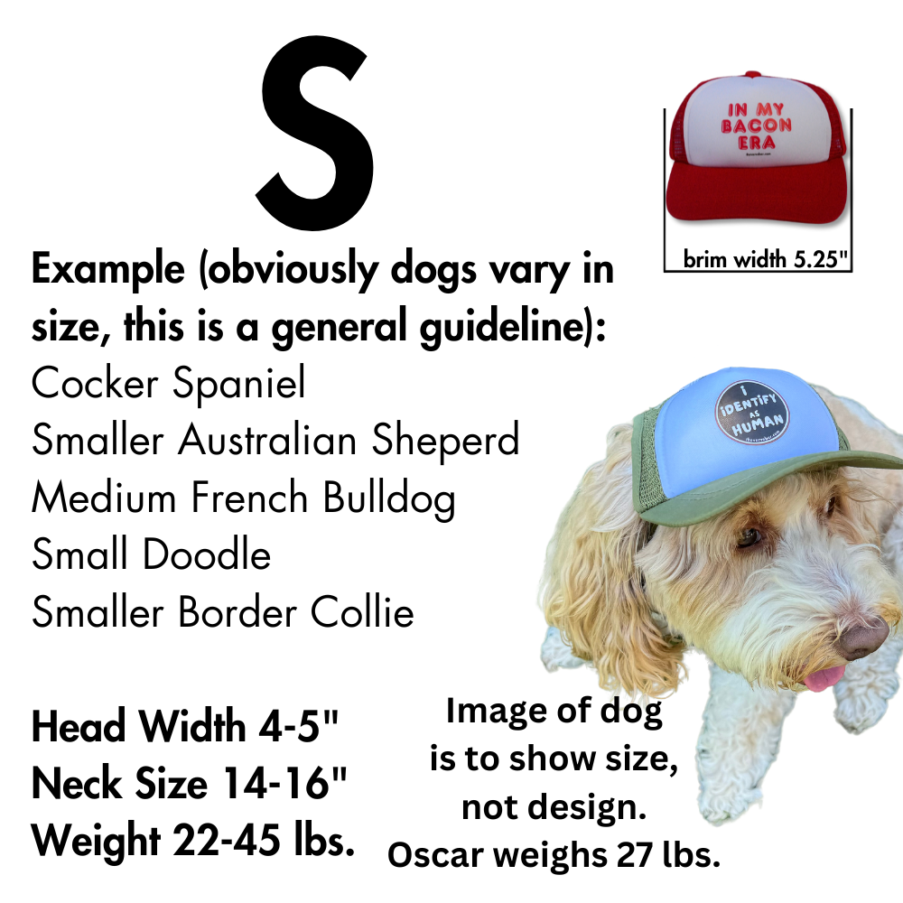 Pup Lid Dog Hat | In my Bacon Era (red on red)