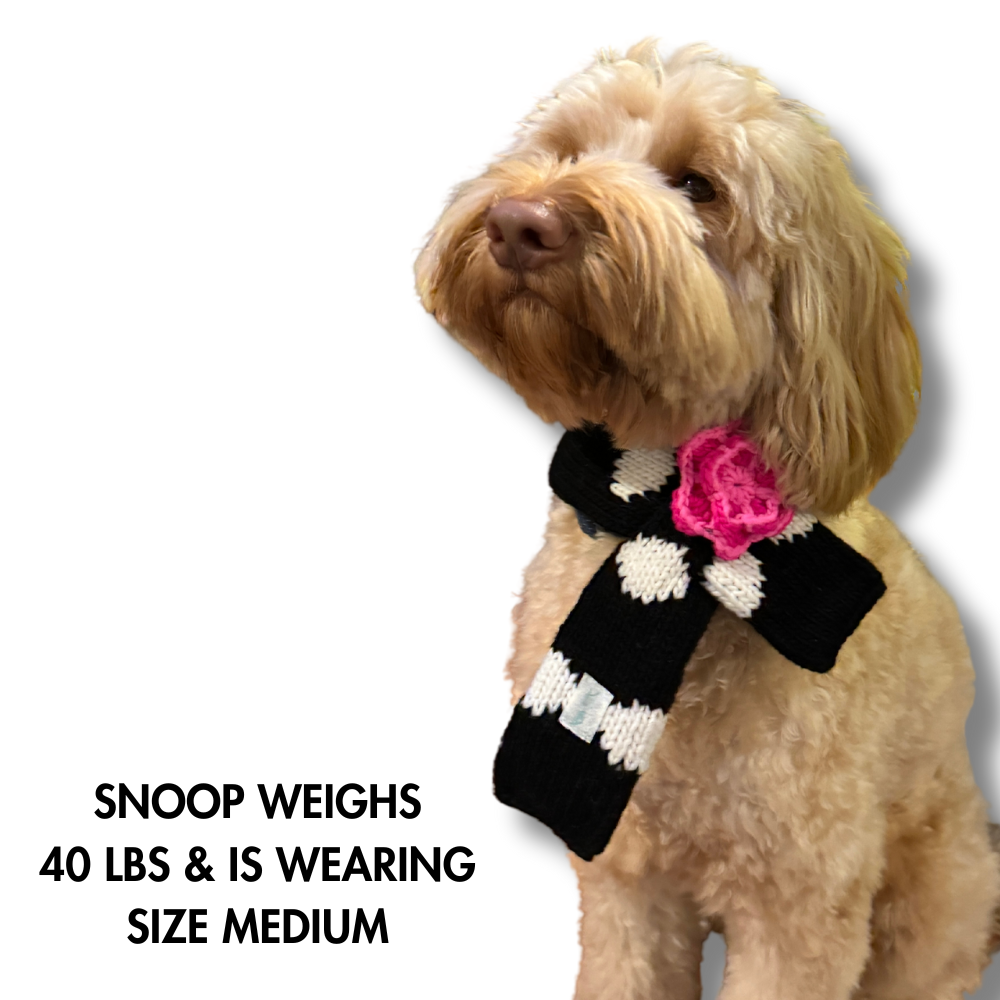 Explanation of size and photo of dog wearing scarf for size comparison