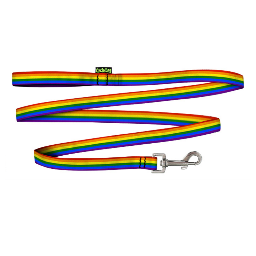 bright rainbow pride dog leash for small dogs shown unfolded and out of packaging