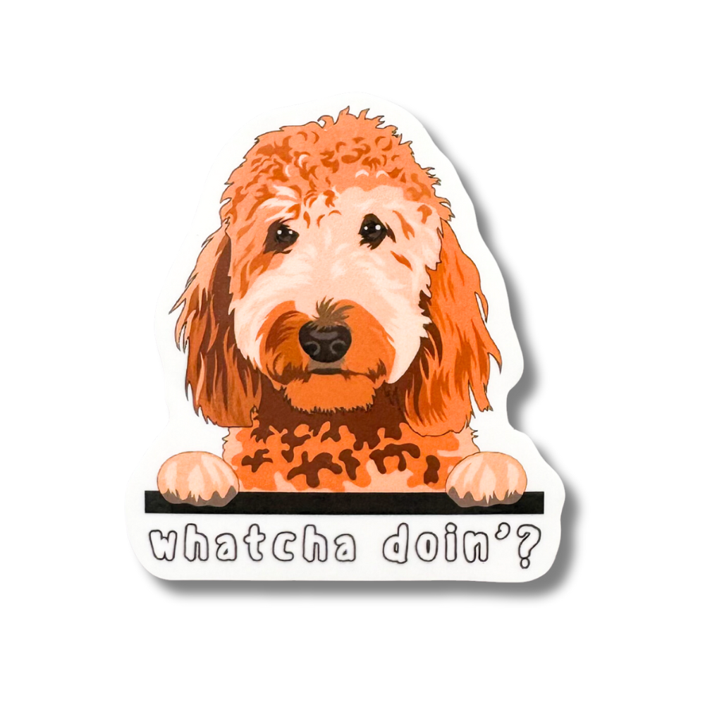 Goldendoodle Labradoodle sticker - cute ginger doodle dog with words: whatcha doing?