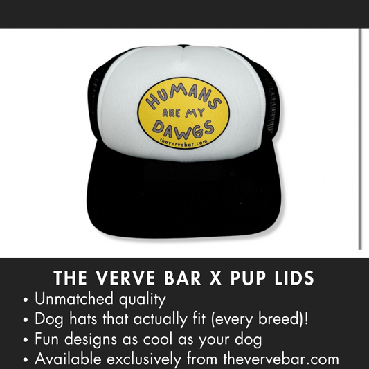 HAT TO KEEP SUN OUT OF DOGS EYES. FUNNY TRUCKER HAT "HUMANS ARE MY DOGS" BLACK WITH YELLOW LOGO.
