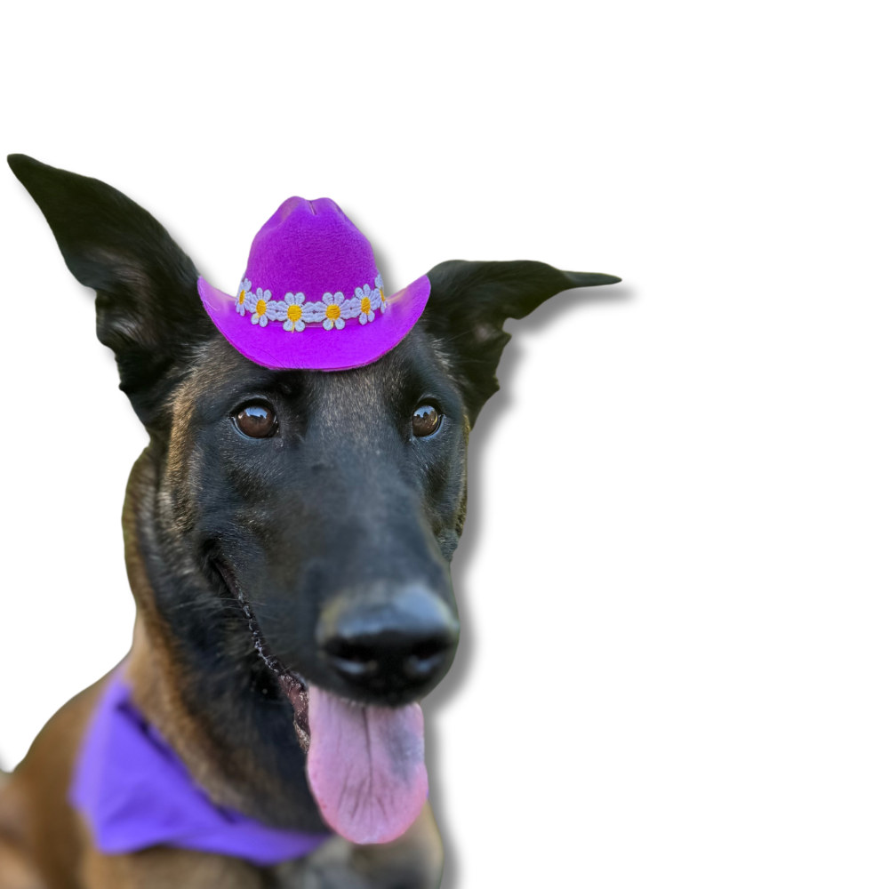 Mini Floral Dog Cowboy Hat | Purple Hat for Pup