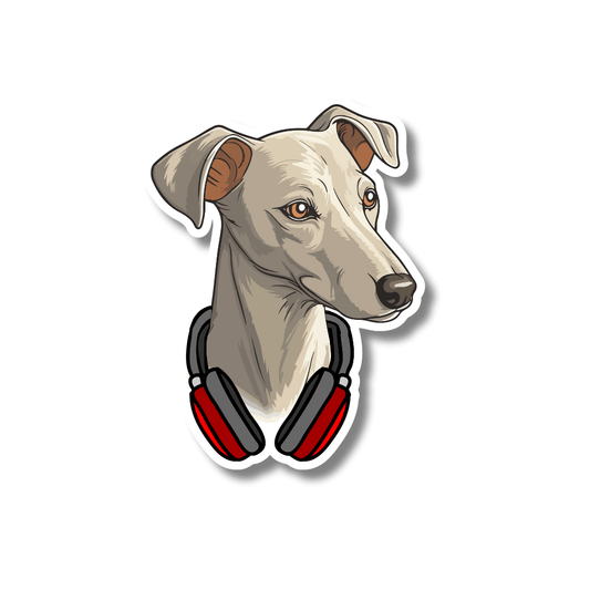 Tan/Grey Italian Greyhound or whippet dog with red headphones around his heck.