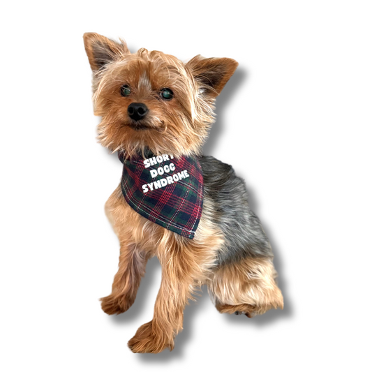 Funny Dog Bandana for Small Breeds | Short Dogg Syndrome